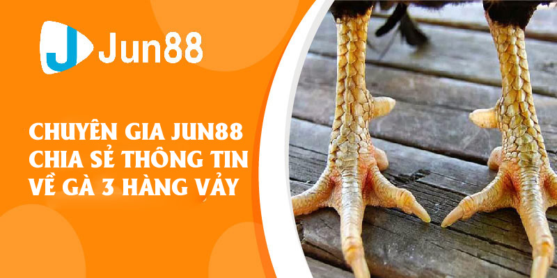 Jun88 - Gà Ba Hàng Vảy Và Những Thông Tin Cần Biết