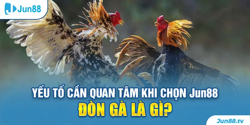 Yếu tố cần quan tâm khi chọn Jun88 - Đòn gà là gì?